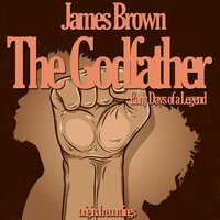Messing With the Blues - James Brown