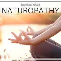 Deep Meditation - High School Reading and Study Music & Mindfulness & Mindfulness & High School Reading and Study Music