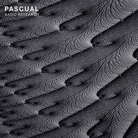 Basic Research - PASCUAL