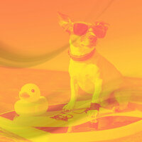 Vibrant Ambience for Dog Walking - Dog Music Dreams