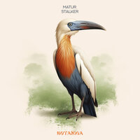 Stalker - Matur