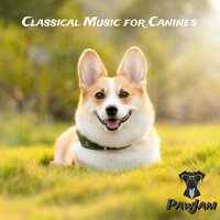 The Tail-Wagging Waltz - PawJam