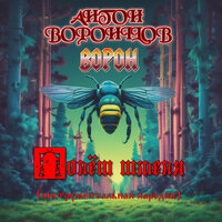 Полёт шмеля (инструментальная пародия) - Антон Воронцов & Ворон