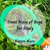 Insect in the Summer - Sleep Sounds Of Nature & Nature Field Recordings & microhope