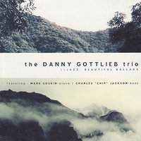 Angel Eyes - The Danny Gottlieb Trio