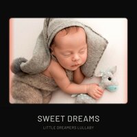 Moonlit Melody - Little Dreamers Lullaby