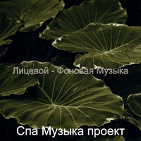 Созерцая (Массаж) - Спа Музыка проект