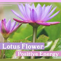 Clarity and Peace - Buddhist Lotus Sanctuary
