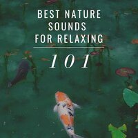 Water's Lullaby (Music for Concentration) - Zen Powder