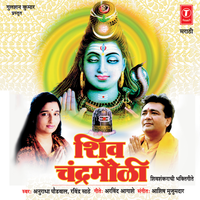 Om Namah Shivay - Anuradha Paudwal
