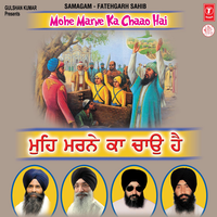 So Kyun Visre Meri Maaye - Bhai Harjinder Singh Ji