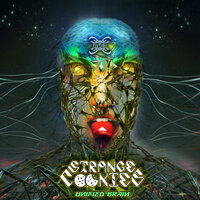 Unified Brain - Strange Cookies