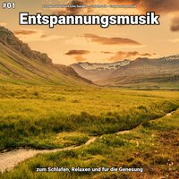Entspannungsmusik pt. 45 - Entspannungsmusik Lino Gangels & Schlafmusik & Entspannungsmusik