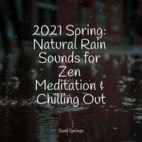 Singing Woods - Sleeping Baby Songs & Nature Sounds Radio & Oasis de Détente et Relaxation