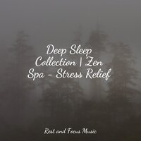 Quiet Beach - Relaxation Music Guru & Amazing Spa Music & Tinnitus Aid