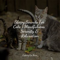 Breath of a Whisper - Music for Resting Cats & Music for Relaxing Cats & Music for Cats Deluxe