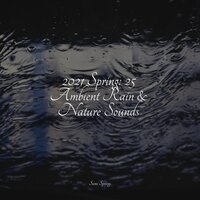 Morning Window Rain - The Relaxing Sounds of Water & Pure Serenity Spa Music & Massage Collective Garden & Zen Relaxation Meditation & A Sudden Rainstorm
