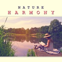 Rain - Nature Sounds Relaxation: Music for Sleep, Meditation, Massage Therapy, Spa