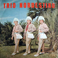 O Canto do Passarinho - Trio Nordestino