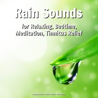 Transcendental Meditation - Nature Sounds & Rain Sounds & Regengeräusche