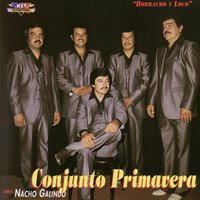 Falsa - Conjunto Primavera