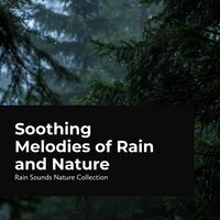 Sweet-Sounding Mellow Rain - Rain Sounds Nature Collection
