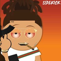 Sidekick - Hoodlum