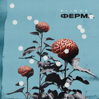 Шубадуба - SLIMUS