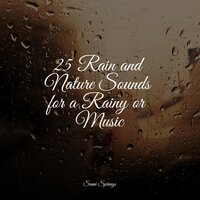 Delicate Rains - Deep Sleep Meditation & Sonidos De Lluvia y Tormentas & Rain Drops for Sleep