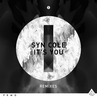 It's You - Syn Cole & Panic City