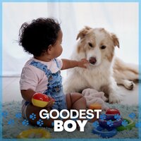 Give Your Doggo Some Space - Calm Dog Music