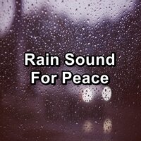 Heavy Rain To Help with Insomnia For Good Rest - Rain Sounds For Sleep & Sleepy Rain & Baby Rain