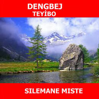 Weylo - Dengbej Teyibo