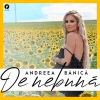 De nebuna - Andreea Banica