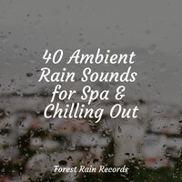 Rain in a Barrel - Echoes of Nature & Rain Sounds Collection & Avslappning Sound
