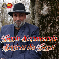 M-Am Saturat De Jmecheri Multi - SORIN NECUNOSCUTU
