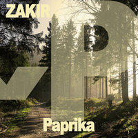 Ramon - Zakir