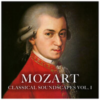 Symphony No. 35 In D major, K. 385, Haffner IV. Finale, Presto - Lithuanian Chamber Orchestra