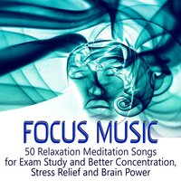 Homework Background Music - Study Music Guys