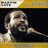 Distant Lover - Marvin Gaye