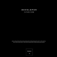 In Pure Form 19 - Developer