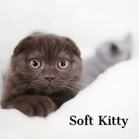 Soft Kitty - Jazz Music for Cats