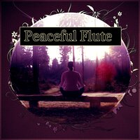 Aromatherapy - Relaxing Evening Music Universe