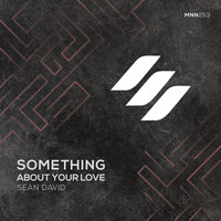Something About Your Love - Sean David