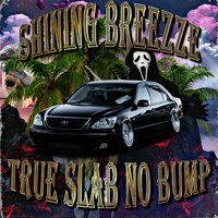 BLACK LINE - SHINING BREEZZE