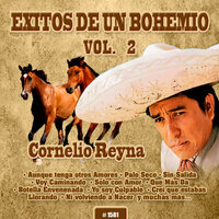 Ya No Tengo a Mi Madre - Cornelio Reyna