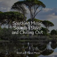 Majestic Melodies - Study Power & Spa Zen & Sleepy Night Music