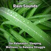 Rain Sounds Pt. 7 - Nature Sounds & Rain Sounds & Regengeräusche