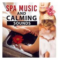 Zen Music for Zen Garden - Zen Spa Music Experts