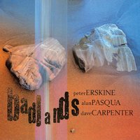 Summer's Waltz - Peter Erskine & Alan Pasqua & Dave Carpenter